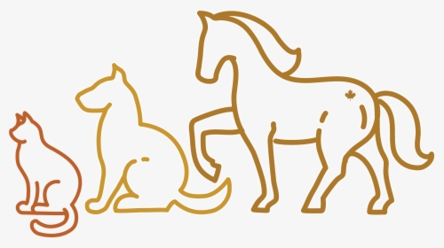 Line Drawing Of Animals - Dog, HD Png Download, Transparent PNG