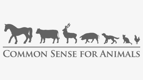 Common Sense For Animals, HD Png Download, Transparent PNG