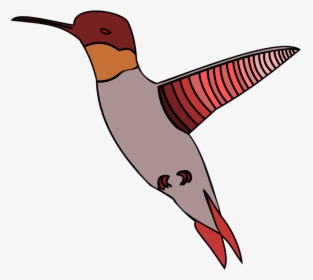 Flying Humming Bird Clip Arts - Ruby-throated Hummingbird, HD Png Download, Transparent PNG