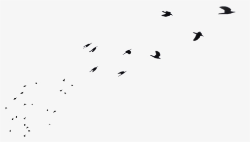 Flock Of Birds Flying Away In Distance Png Stock By - Flock, Transparent Png, Transparent PNG