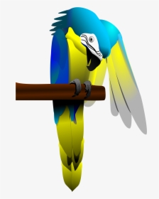 Blue And Yellow Macaw Parrot Clip Arts - Parrot, HD Png Download, Transparent PNG