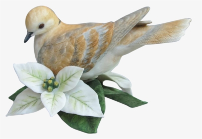 15 Turtle Doves Png For Free Download On Mbtskoudsalg - Turtle Dove Png, Transparent Png, Transparent PNG