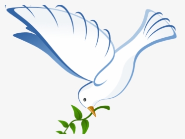 Pigeons And Doves Portable Network Graphics Clip Art - White Dove, HD Png Download, Transparent PNG