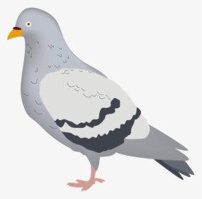 Pigeons And Doves , Png Download - Stock Dove, Transparent Png, Transparent PNG