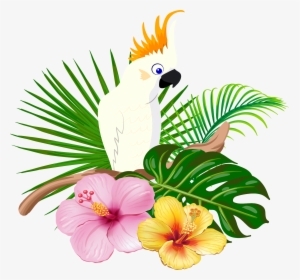 Parrot Bird Floral Design - Free Hawaiian Bird Clipart, HD Png Download, Transparent PNG