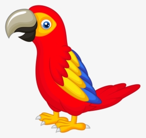 Drawing With Colour At Getdrawings Com Free - Parrot Clipart Png, Transparent Png, Transparent PNG