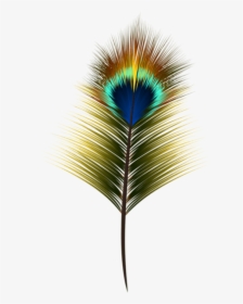 Transparent Elegant Heart Clipart - Peacock Feather Clipart Png, Png Download, Transparent PNG
