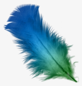 Feather Transparent Background Feathers Png- - Transparent Background Blue Feather Png, Png Download, Transparent PNG