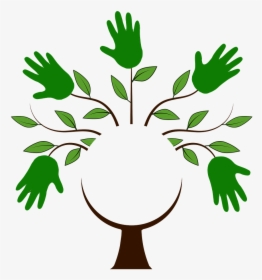 Tree Png With Seven Branches, Transparent Png, Transparent PNG