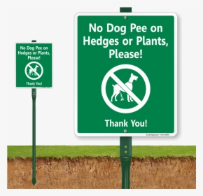 No Dog Peeing Sign, HD Png Download, Transparent PNG