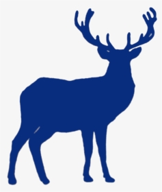 Stag Clipart Celtic - Blue Deer Logo Png, Transparent Png, Transparent PNG