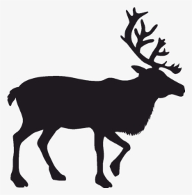Reindeer Silhouette Rudolph - Caribou Silhouette Png, Transparent Png, Transparent PNG
