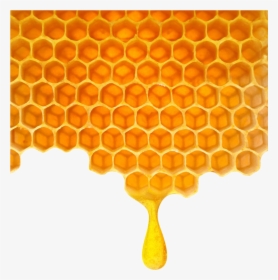 Poly Honey Honeycomb Png Download - Honey Comb Clip Art, Transparent Png, Transparent PNG