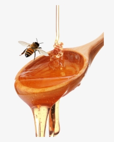 Honey Spoon - Honeybee - Honey Spoon Png, Transparent Png, Transparent PNG