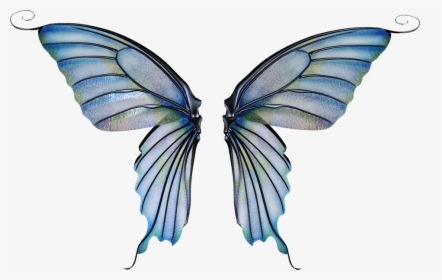 Transparent Background Fairy Wings Transparent, HD Png Download, Transparent PNG