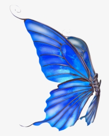 Pack De Alas Png - Butterfly Wings Side View, Transparent Png, Transparent PNG
