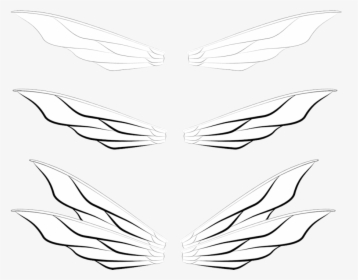Transparent Realistic Fairy Wings Png - Line Art, Png Download, Transparent PNG