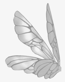 Wings Butterflywings Butterfly Fairy Fairywings - Pink Realistic Fairy Wings Png, Transparent Png, Transparent PNG