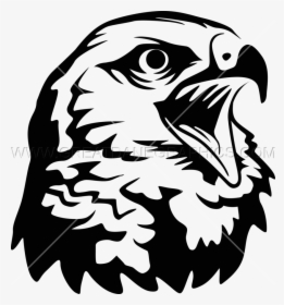 Hawk Png Black And White - Hawk Black And White Png, Transparent Png, Transparent PNG