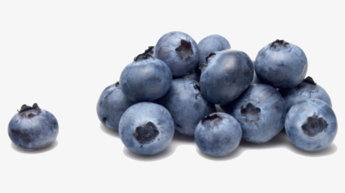 Blueberry Png Download - White Powder On Fruit, Transparent Png, Transparent PNG