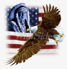 Transparent Eagle Wings Spread Clipart Black And White - Hawk, HD Png Download, Transparent PNG