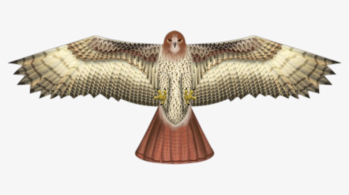 Image Of Hawk Supersize Bird Of Prey Kite - Hawk Kite, HD Png Download, Transparent PNG
