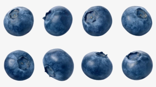 Blueberries Png - Single Blueberry Png, Transparent Png, Transparent PNG