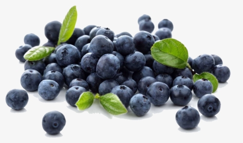 Blueberries Png Free Download - Arandanos En Png, Transparent Png, Transparent PNG