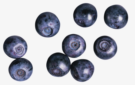 Blueberries Png - Black Currant Or Blueberries, Transparent Png, Transparent PNG