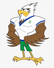 Hawk Clipart Sport Mascot - Hawk Mascot Png, Transparent Png, Transparent PNG