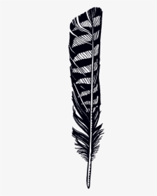 Hawk Feather Tattoo Designs, HD Png Download, Transparent PNG