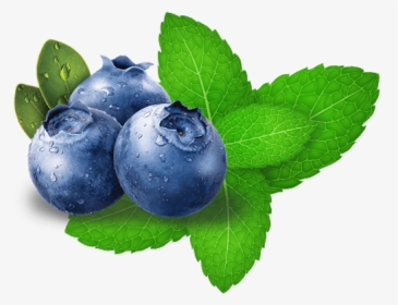 Hookafina Blueberry Mint - Blueberry Gif Transparent Background, HD Png Download, Transparent PNG