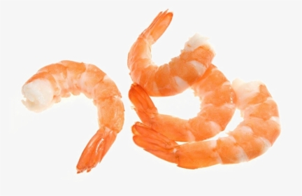Shrimp Png Image - Shrimp Png, Transparent Png, Transparent PNG