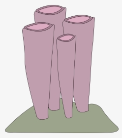 Sponge Shrimp Clip Arts - Clip Art, HD Png Download, Transparent PNG