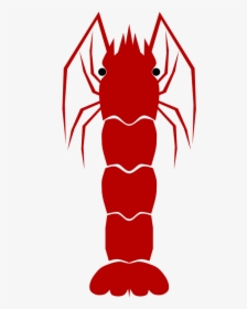 Shrimp Free To Use Clip Art - Prawns Clipart, HD Png Download, Transparent PNG