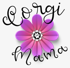 Corgi Mom With Pink Flower Dog Paw Png Transparent - African Daisy, Png Download, Transparent PNG