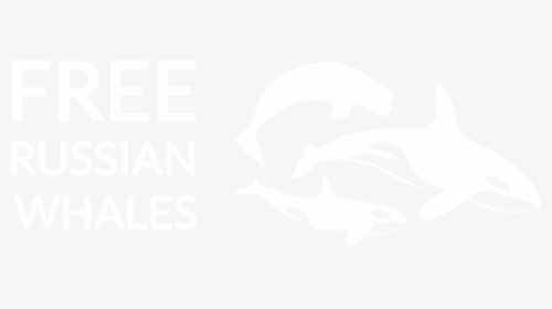 Logo Eng Sm - Free Russian Whales, HD Png Download, Transparent PNG