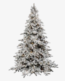 #moodboard #niche #aesthetic #christmas #christmastree - Christmas Tree With Snow Png, Transparent Png, Transparent PNG