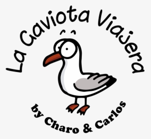 Transparent Gaviota Png - Duck, Png Download, Transparent PNG