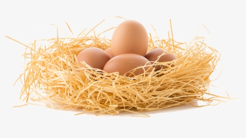 Brown Eggs Png - Eggs In Nest Png, Transparent Png, Transparent PNG