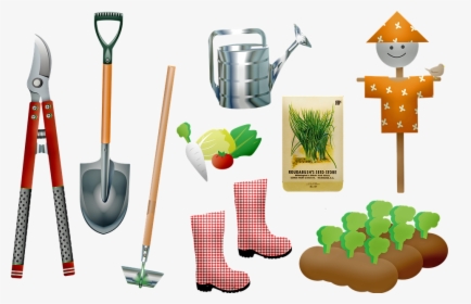 Garden, Tools, Plants Growing, Seeds, Shovel, Gardening - Garden, HD Png Download, Transparent PNG