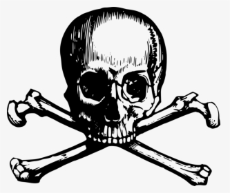 Skull And Crossbones - Skull And Cross Bones Png, Transparent Png, Transparent PNG