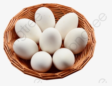 Transparent Eggs Clipart - Duck Egg Png, Png Download, Transparent PNG