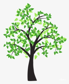 Tree Drawing Cottonwood Leaf - Tree Drawing Transparent Background, HD Png Download, Transparent PNG