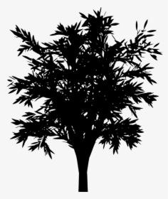 Tree, Vector, Black, Silhouette - Ağaç Vektörel Png, Transparent Png, Transparent PNG