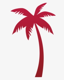 Tropicana Tree Coconut Euclidean Vector - Palm Tree Vector Png, Transparent Png, Transparent PNG