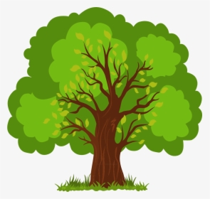 Euclidean Vector Tree - Vector Tree Png Clipart, Transparent Png, Transparent PNG