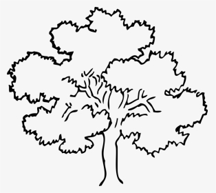 Tree Black And White, HD Png Download, Transparent PNG