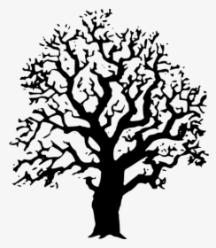 Oak Tree Vector Image - Cool Tree Clipart Black And White, HD Png Download, Transparent PNG