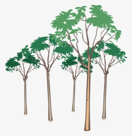 Tree Vector Png - Leron Leron Sinta Litrato, Transparent Png, Transparent PNG